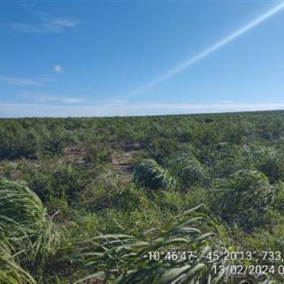 Fazendas Águia de Prata (I-A, Gleba I, Remanescente e II A-Gleba 01) — Formosa do Rio Preto/BA