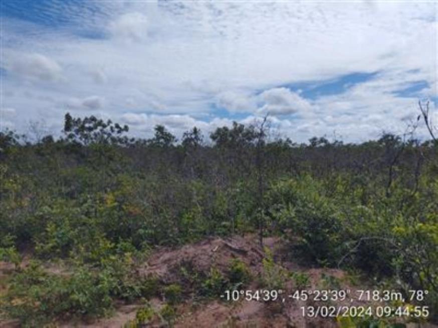 Foto ilustrativa 15 - Fazendas Águia de Prata (I-A, Gleba I, Remanescente e II A-Gleba 01) — Formosa do Rio Preto/BA