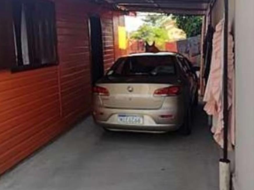Foto ilustrativa 7 - Casa Sapucaia do Sul – RS