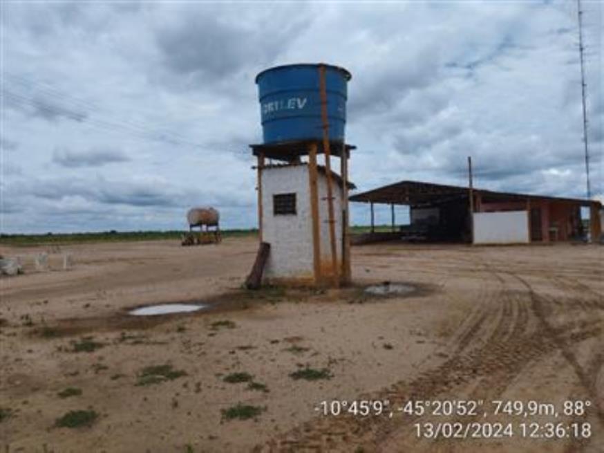Foto ilustrativa 32 - Fazendas Águia de Prata (I-A, Gleba I, Remanescente e II A-Gleba 01) — Formosa do Rio Preto/BA