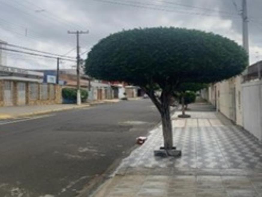 Foto ilustrativa 13 - Jardim Calegari (Nova Veneza) – Sumaré/SP