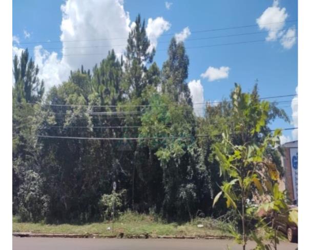 Foto de Centro - Cerro Largo/RS