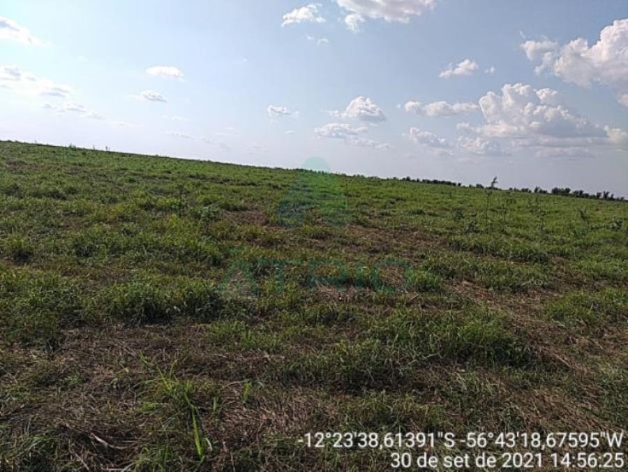 4 Fazendas em Tapurah/MT - 1297,12ha Tapurah/MT, localizado em Tapurah - MT