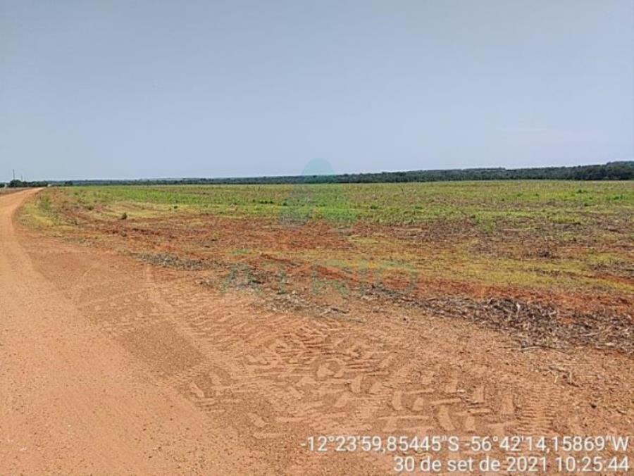 4 Fazendas em Tapurah/MT - 1297,12ha Tapurah/MT, localizado em Tapurah - MT