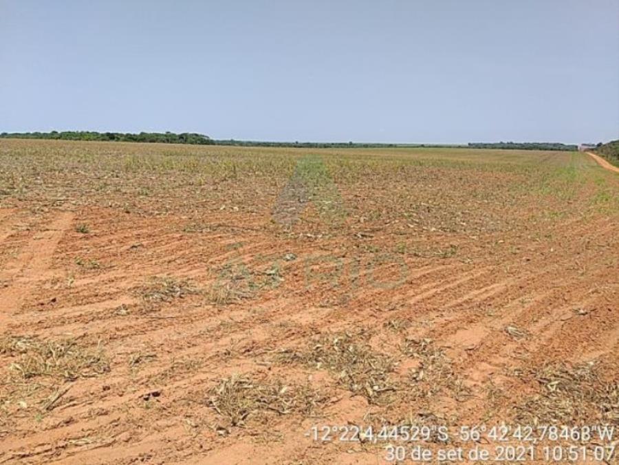 4 Fazendas em Tapurah/MT - 1297,12ha Tapurah/MT, localizado em Tapurah - MT