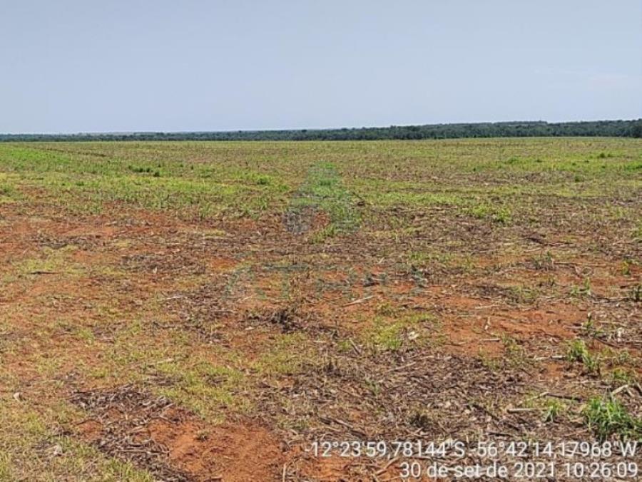 4 Fazendas em Tapurah/MT - 1297,12ha Tapurah/MT, localizado em Tapurah - MT