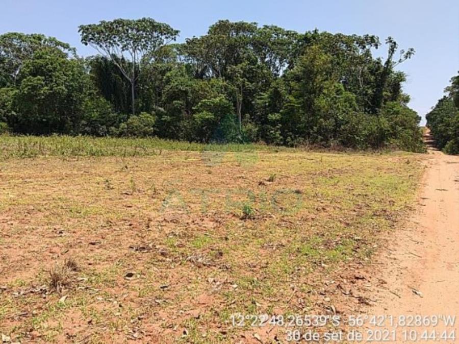 4 Fazendas em Tapurah/MT - 1297,12ha Tapurah/MT, localizado em Tapurah - MT