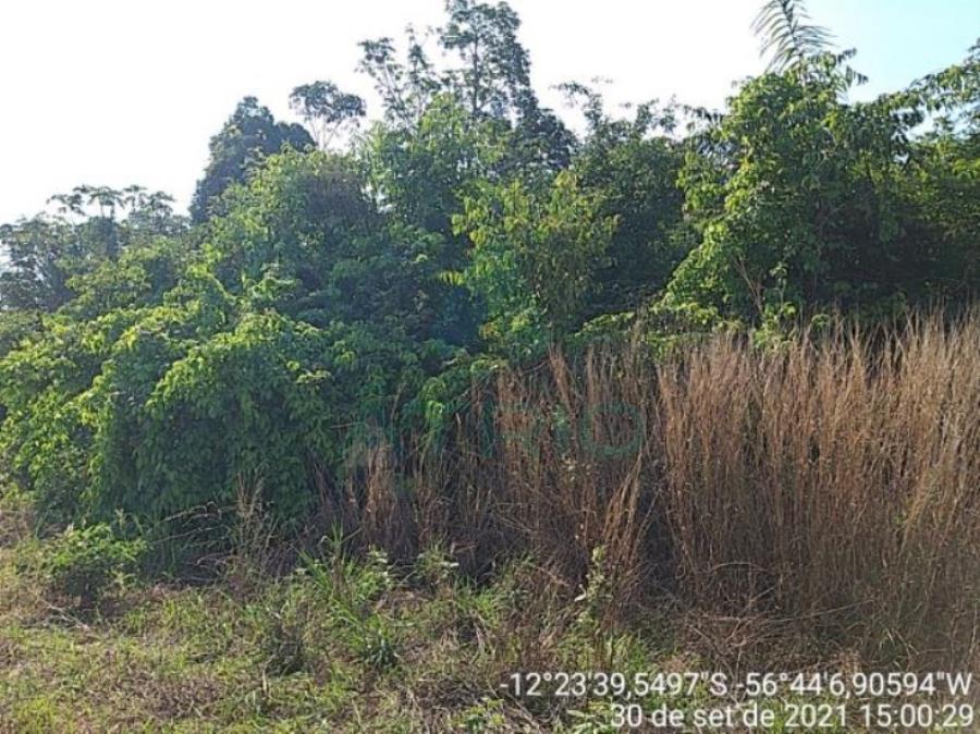 4 Fazendas em Tapurah/MT - 1297,12ha Tapurah/MT, localizado em Tapurah - MT