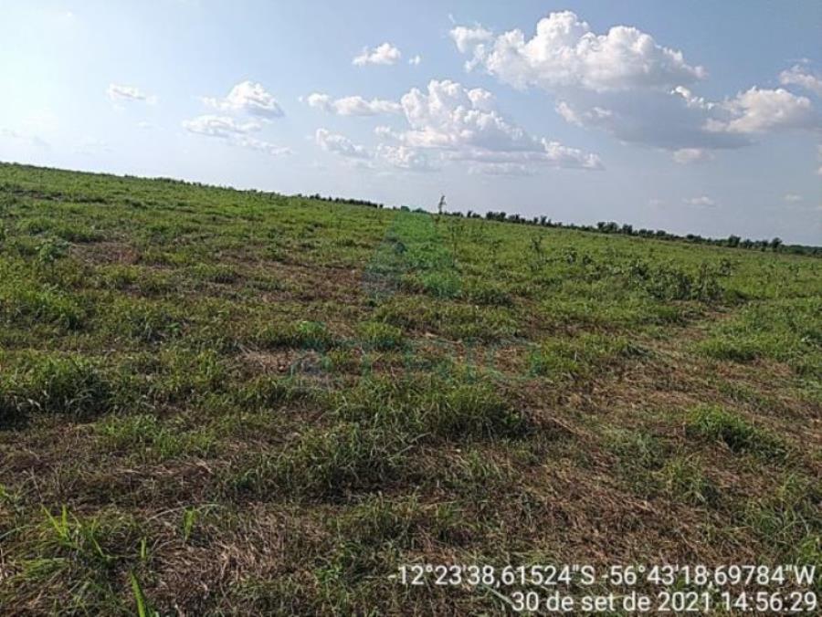 4 Fazendas em Tapurah/MT - 1297,12ha Tapurah/MT, localizado em Tapurah - MT