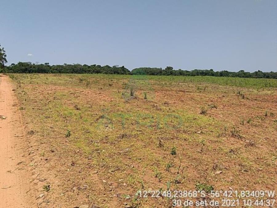 4 Fazendas em Tapurah/MT - 1297,12ha Tapurah/MT, localizado em Tapurah - MT