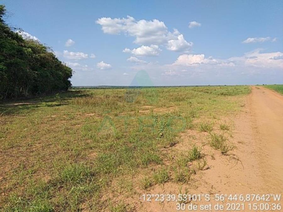 4 Fazendas em Tapurah/MT - 1297,12ha Tapurah/MT, localizado em Tapurah - MT