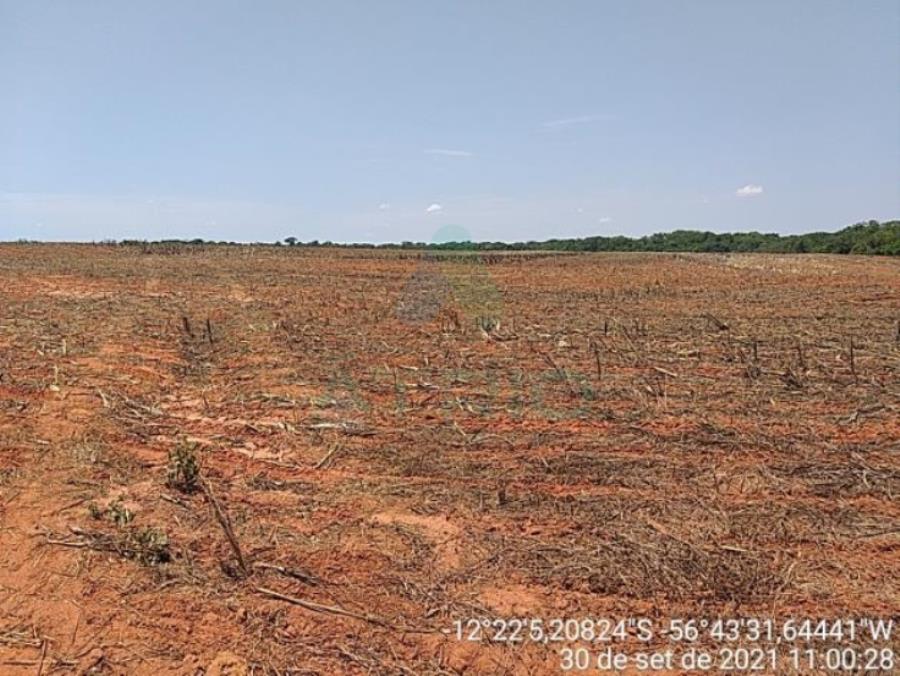 4 Fazendas em Tapurah/MT - 1297,12ha Tapurah/MT, localizado em Tapurah - MT