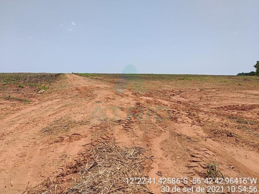 4 Fazendas em Tapurah/MT - 1297,12ha Tapurah/MT, localizado em Tapurah - MT