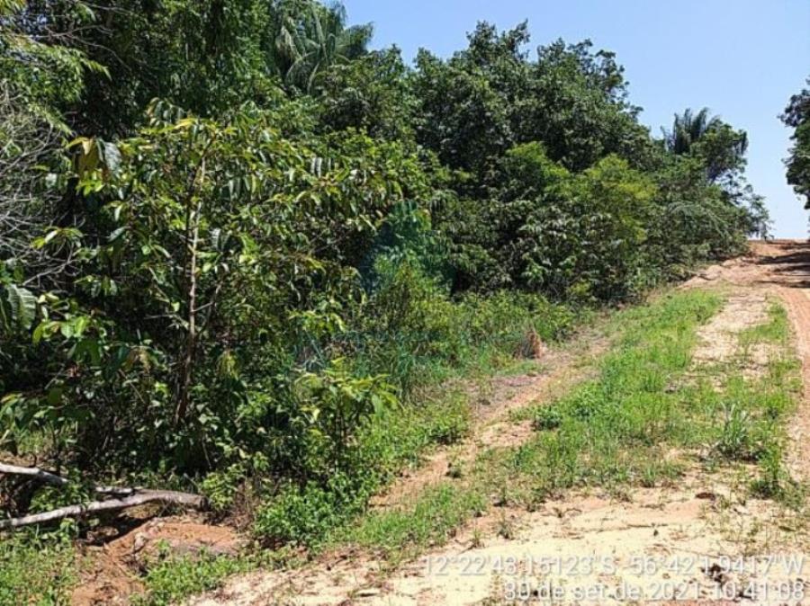 4 Fazendas em Tapurah/MT - 1297,12ha Tapurah/MT, localizado em Tapurah - MT