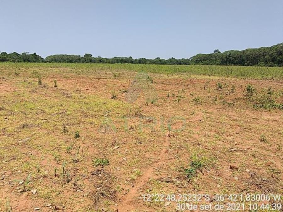 4 Fazendas em Tapurah/MT - 1297,12ha Tapurah/MT, localizado em Tapurah - MT