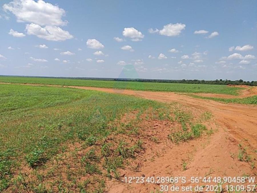 4 Fazendas em Tapurah/MT - 1297,12ha Tapurah/MT, localizado em Tapurah - MT