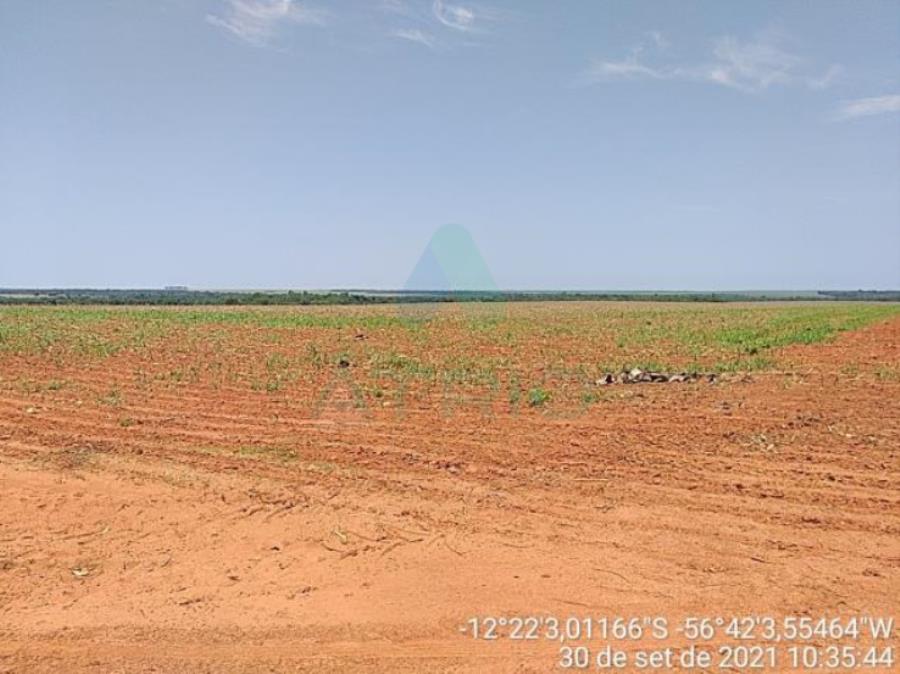 4 Fazendas em Tapurah/MT - 1297,12ha Tapurah/MT, localizado em Tapurah - MT