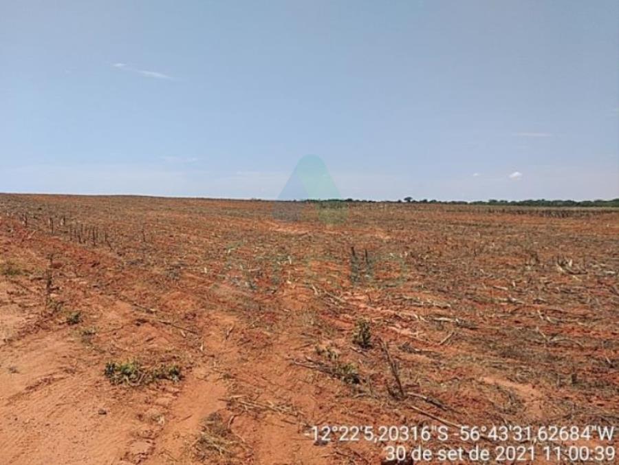 4 Fazendas em Tapurah/MT - 1297,12ha Tapurah/MT, localizado em Tapurah - MT