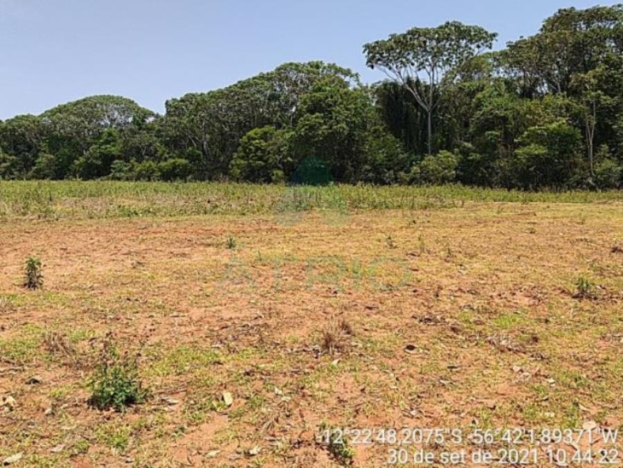 4 Fazendas em Tapurah/MT - 1297,12ha Tapurah/MT, localizado em Tapurah - MT
