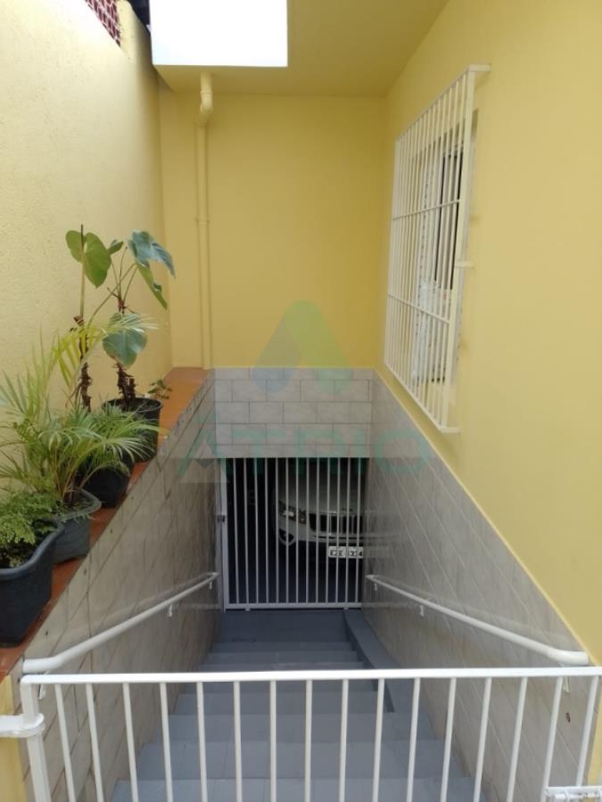 miniatura-3