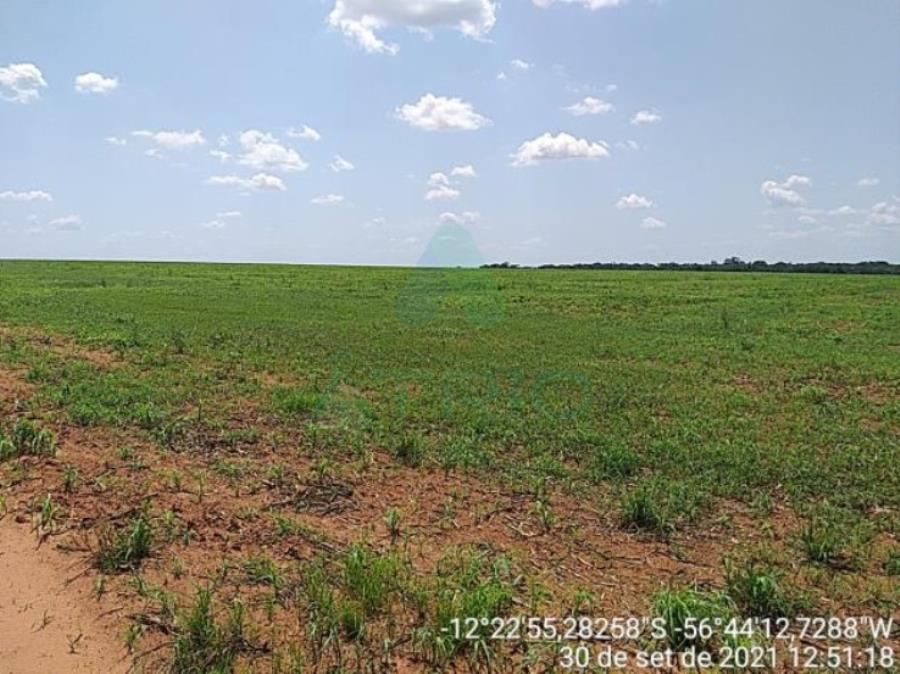 4 Fazendas em Tapurah/MT - 1297,12ha Tapurah/MT, localizado em Tapurah - MT