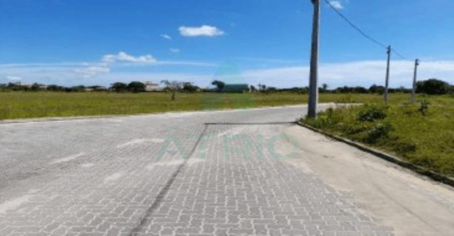 Fazenda mosquito - beberibe/ce - foto 5