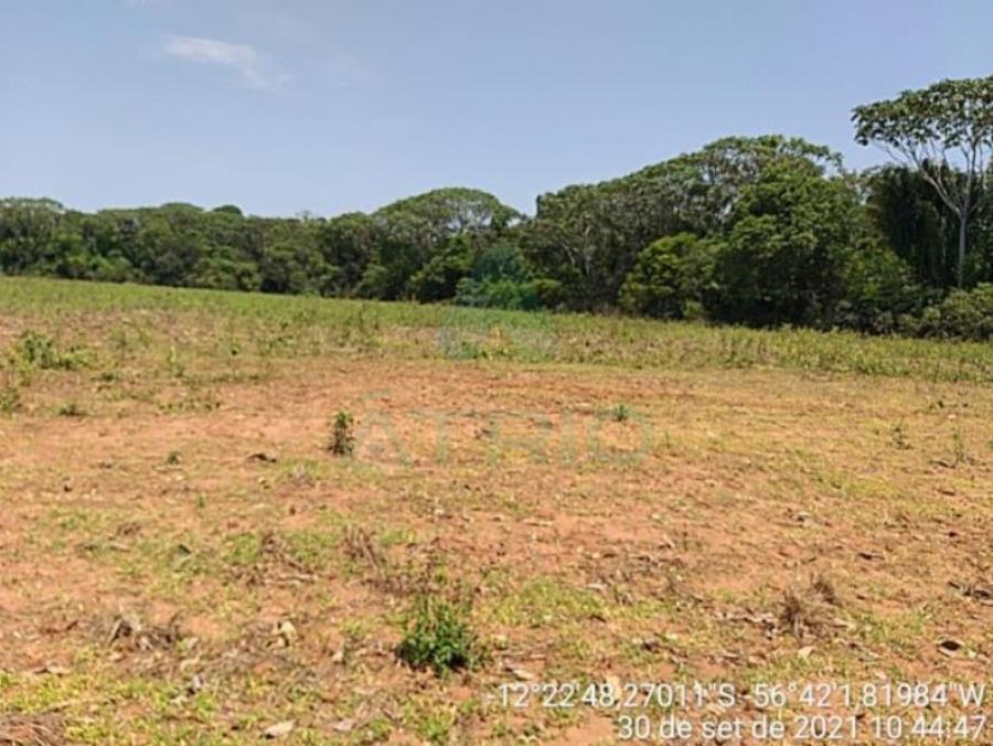 4 Fazendas em Tapurah/MT - 1297,12ha Tapurah/MT, localizado em Tapurah - MT
