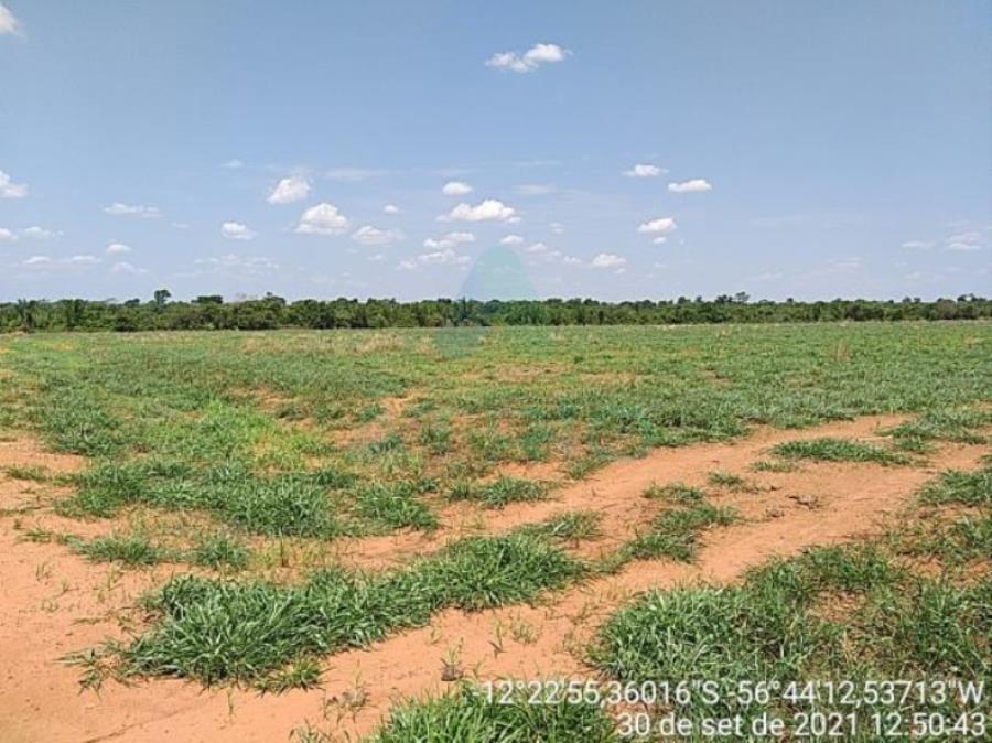 4 Fazendas em Tapurah/MT - 1297,12ha Tapurah/MT, localizado em Tapurah - MT