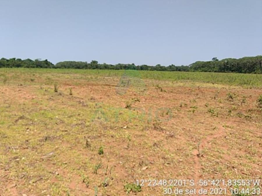 4 Fazendas em Tapurah/MT - 1297,12ha Tapurah/MT, localizado em Tapurah - MT